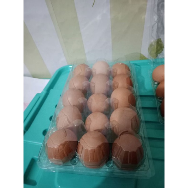 

RB Telur Ayam Negeri Harga Merakyat Kualitas Bagus