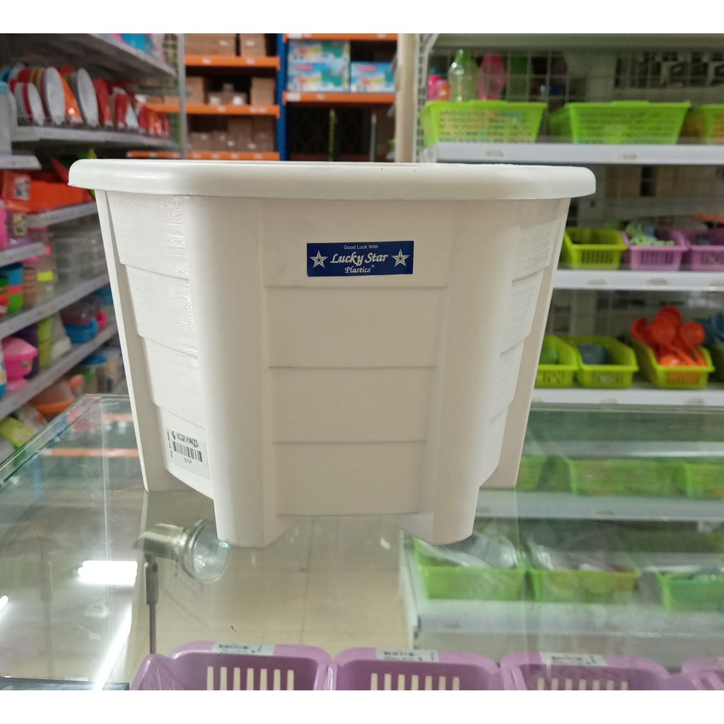 POT BUNGA SEGI 6" CAMELIA PUTIH