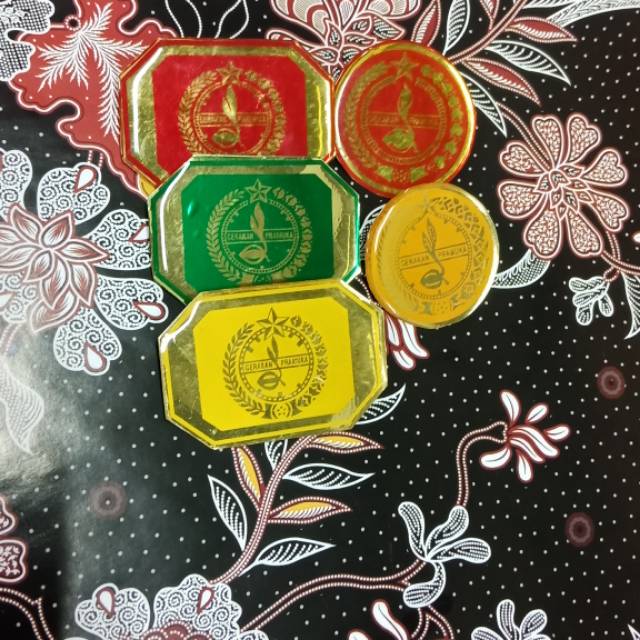 Tatop Topi Pramuka / Tatop Fiber Pramuka / Pin Topi Lambang Pramuka