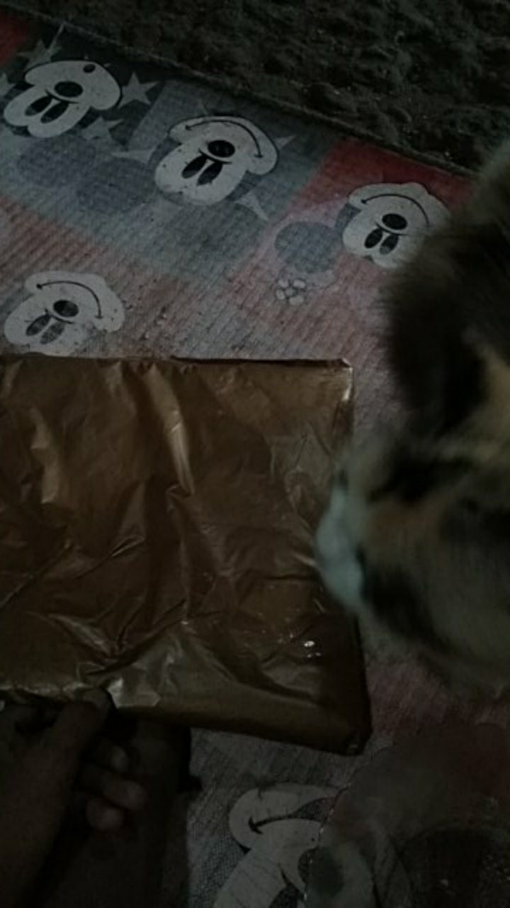 Kemeja Batik Anak - Batik Anak - Baju Batik Anak Laki Laki Umur 2-12 Tahun Hem Batik Anak