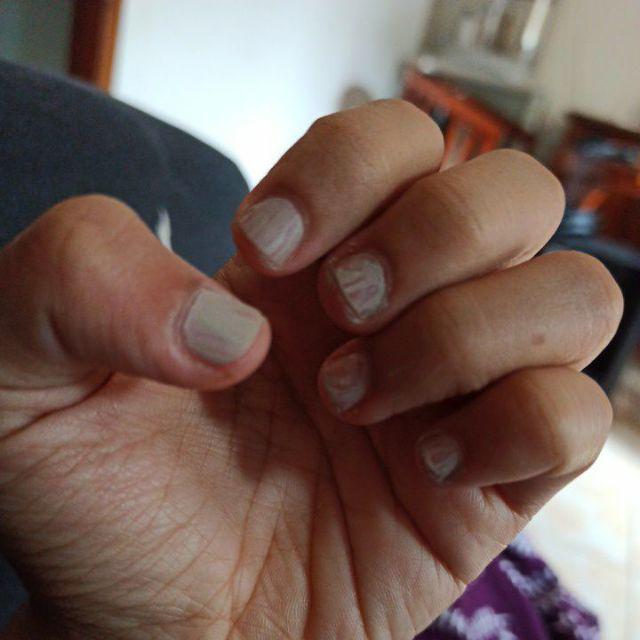  Cat  Kuku  Matte Aneka Warna Shopee Indonesia