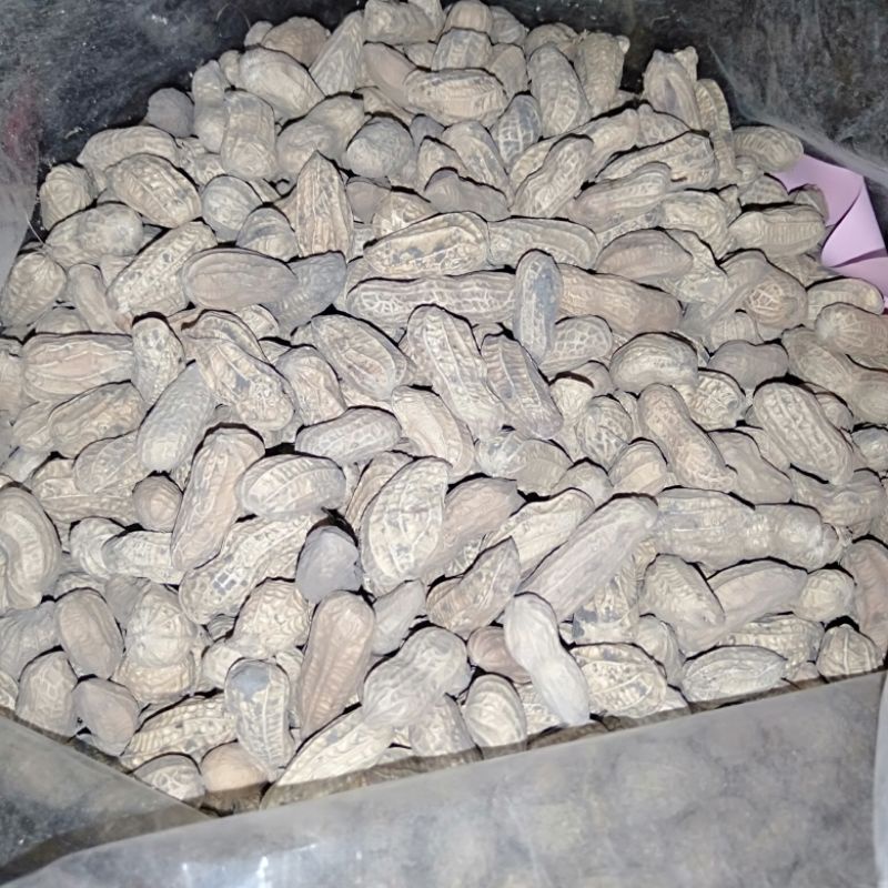 

kacang kulit 250gr /kacang horeng nanangan /kacang kulit pasir