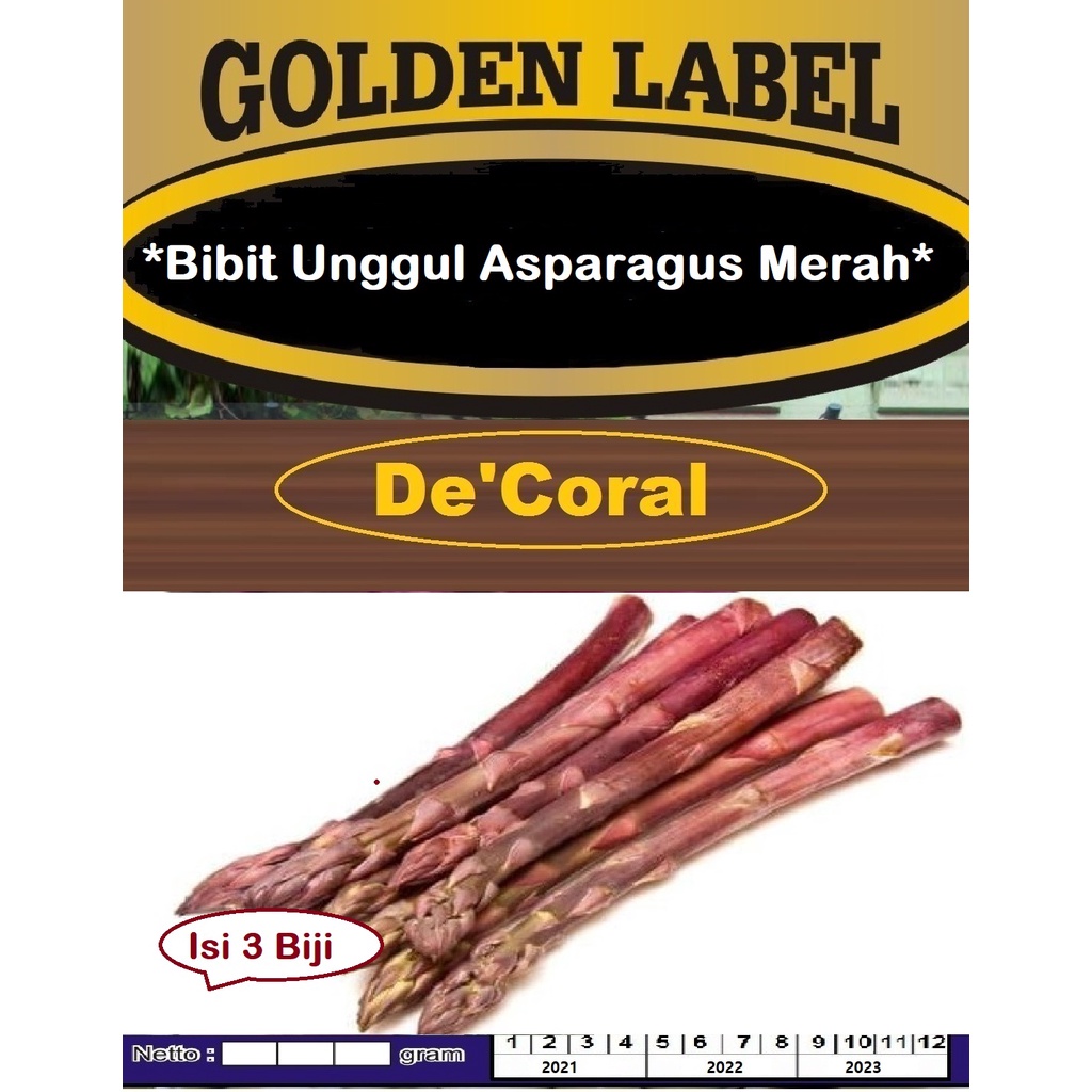 Bibit Unggul Asparagus Merah | Benih Asparagus Merah |Bibit Asparagus