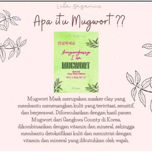 MUGWORT CLAY MASK BY LULA.ORGANIC 20 Gr