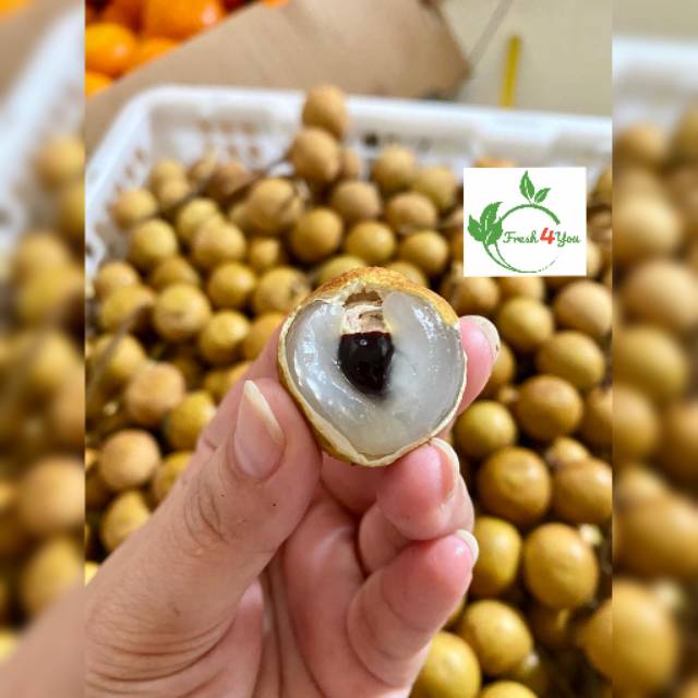 

FRESH4YOU_KLENGKENG BANGKOK GOLD KLENGKENG MANIS KLENGKENG IMPORT