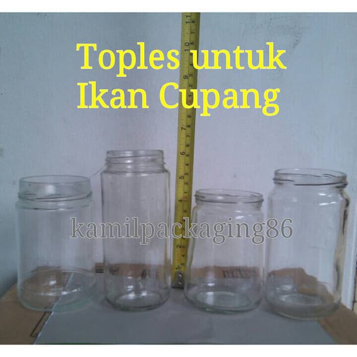 Toples Ikan Cupang Shopee Indonesia