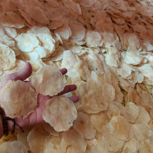 

Emping original banten langsung dari pengepul 1 kg