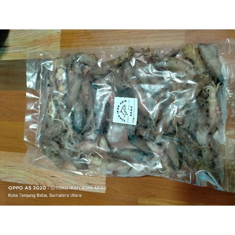 

Cumi-cumi / sotong besar TAWAR
