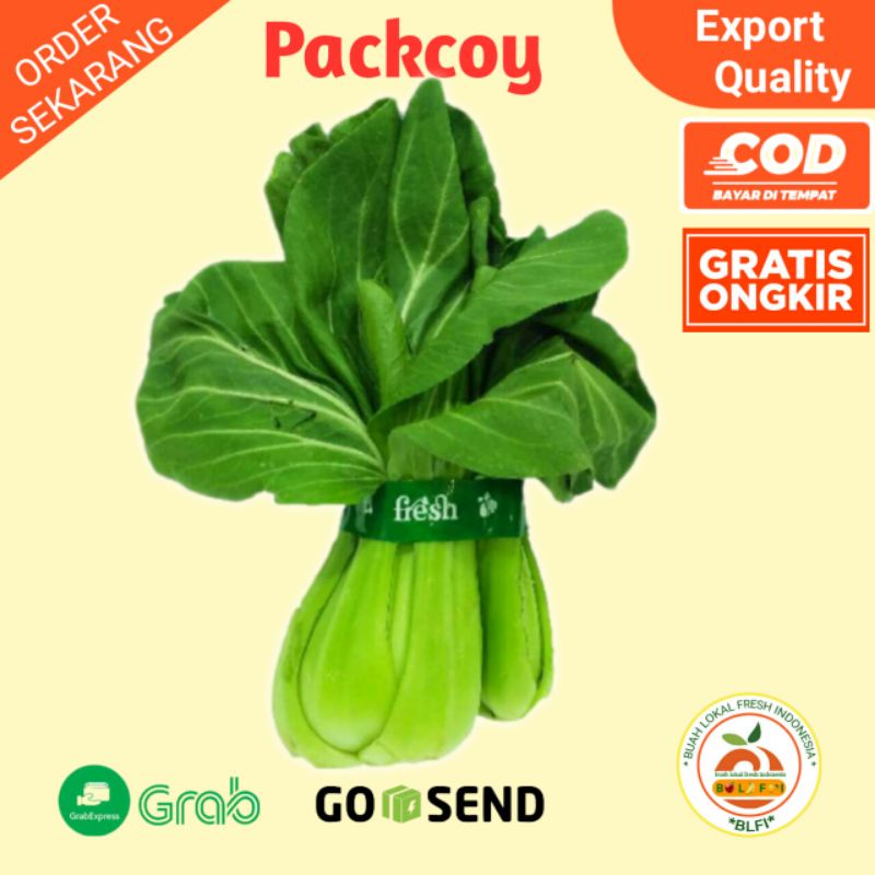 

PACKCOY SEGAR