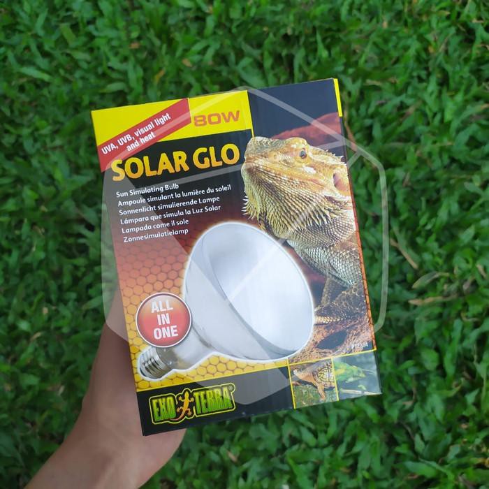 Exoterra Solar Glo 80 Watt Uva Uvb Penghangat Kandang Hewan Reptile Bagus Murah Berkualitas Shopee Indonesia