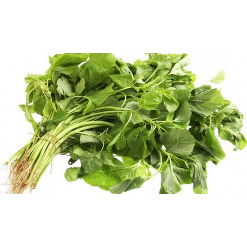 

Bayam segar / spinach 1 ikat