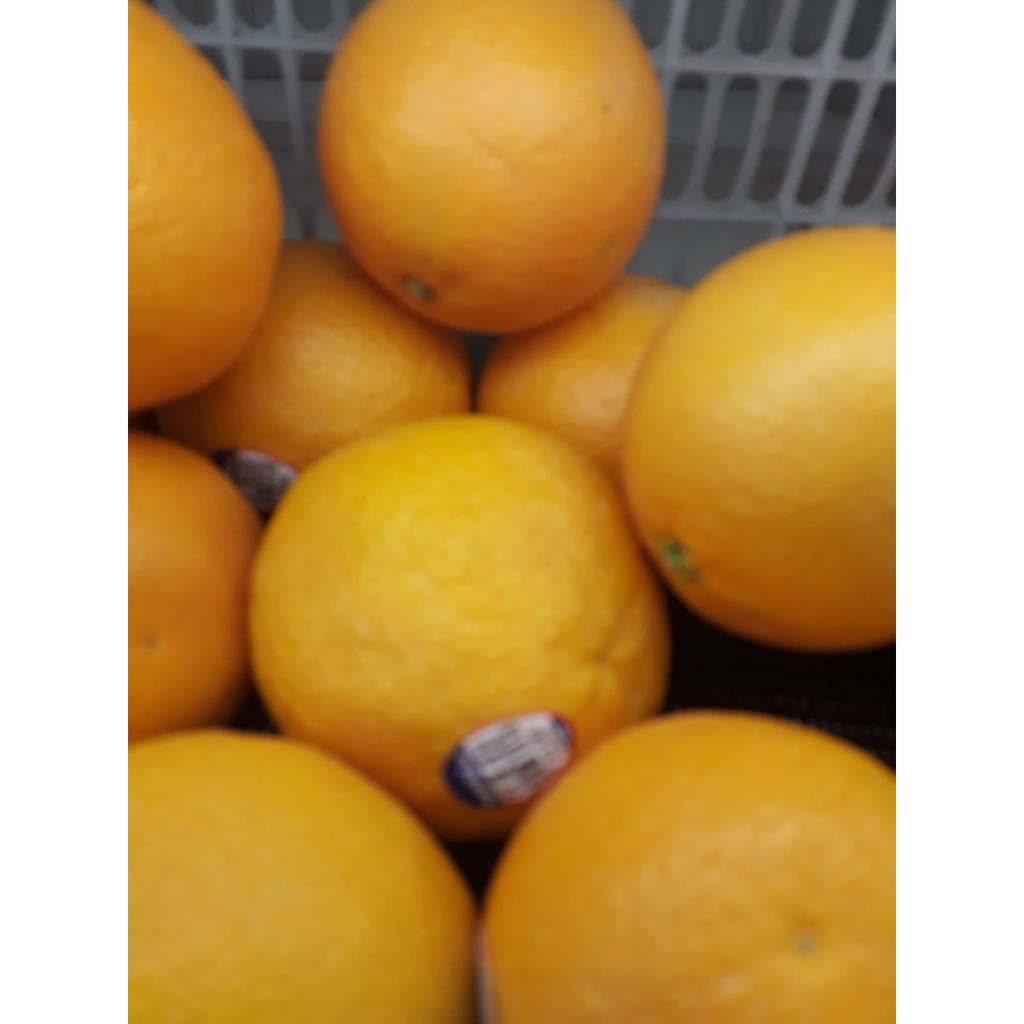 

Buah Jeruk Sunkist Valencia