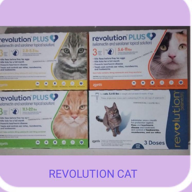 Jual Revolution Cat Plus [Zoetis] . Ready Indonesia