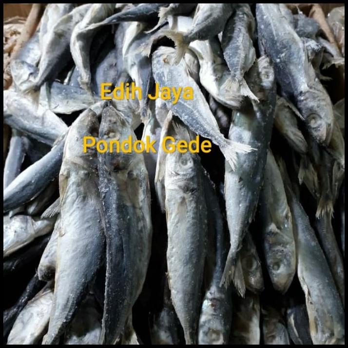 

Ikan Asin Japuh Layang Asin Net 1 Kg