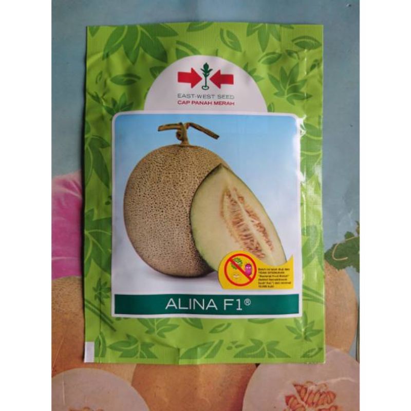 Benih bibit Melon ALINA F1 500 biji kemasan original