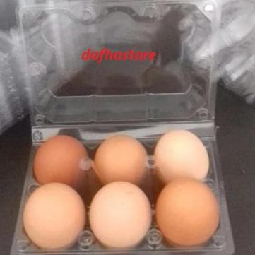 

(dhot -21) Mika Telur / Egg Tray / Tray Telur Isi 6 Butir Sudah ada Pengunci. 626HHXC