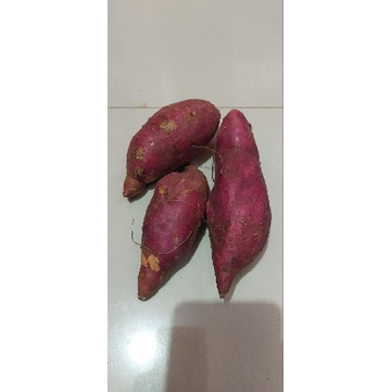 

Ubi Merah (dalam oren) mentah