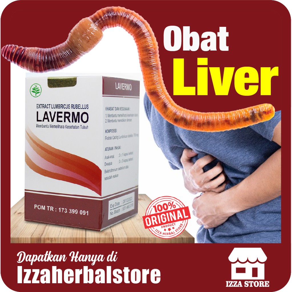 LAVERMO Obat Herbal Suplemen Kesehatan Obat Liver Ampuh Bengkak Perut Sakit Kepala Herbal ORIGINAL