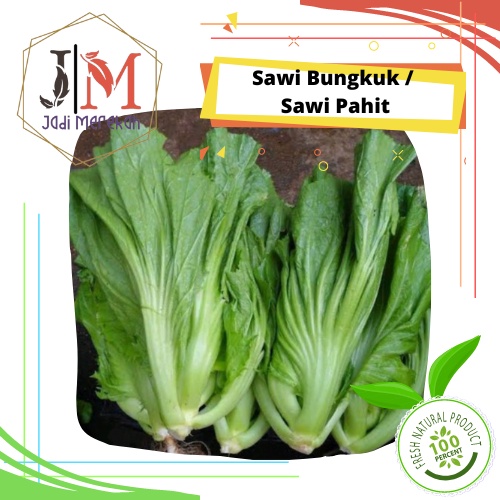 

[JM SoFresh] - Sawi Pahit / Sawi Bungkuk