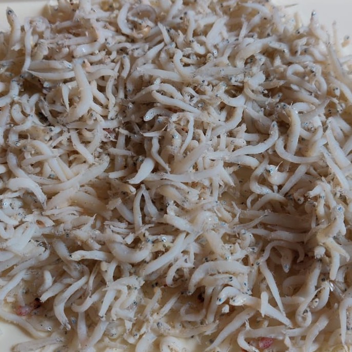 

Teri Medan/Toge
