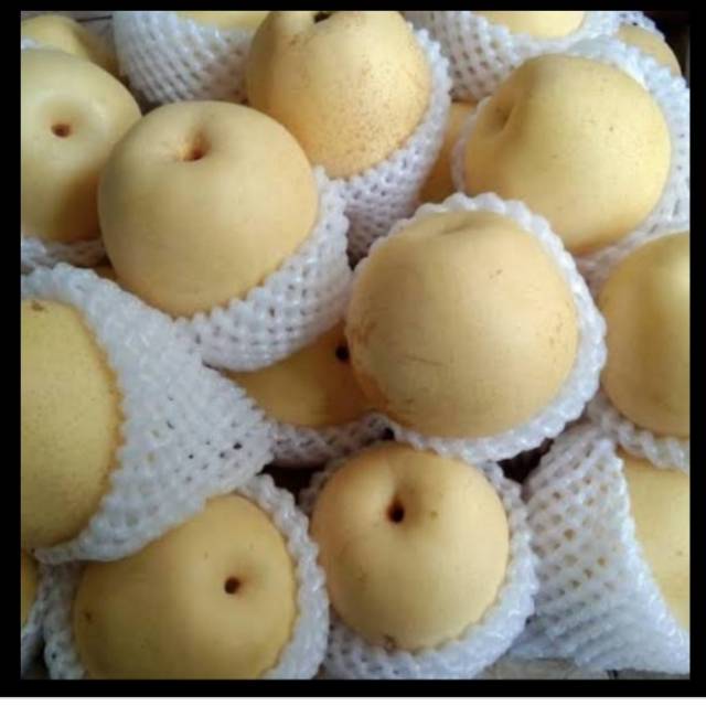 

Buah Pir murah meriah harga per 1 kg