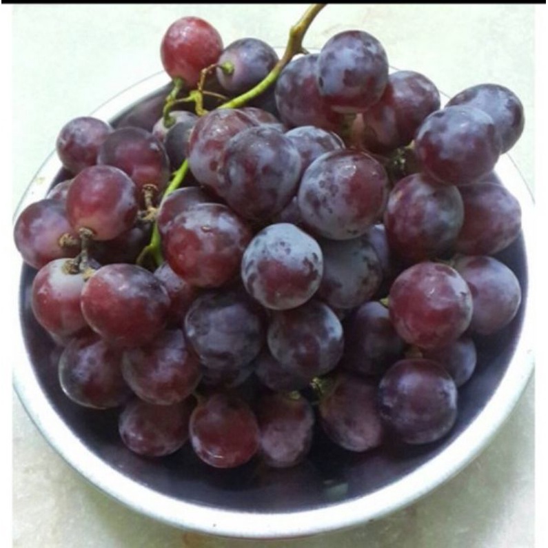 

buah anggr merah