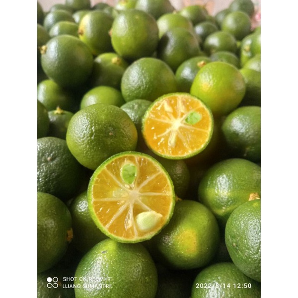 

Jeruk sonkit kasturi cina kalamansi kunci 1kg