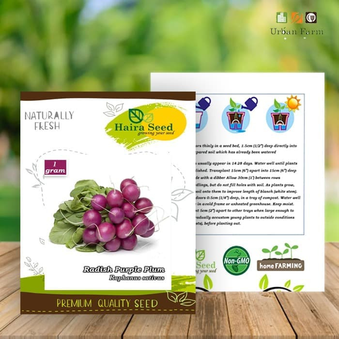 Haira Seed Bibit-Biji Radish Purple Plum