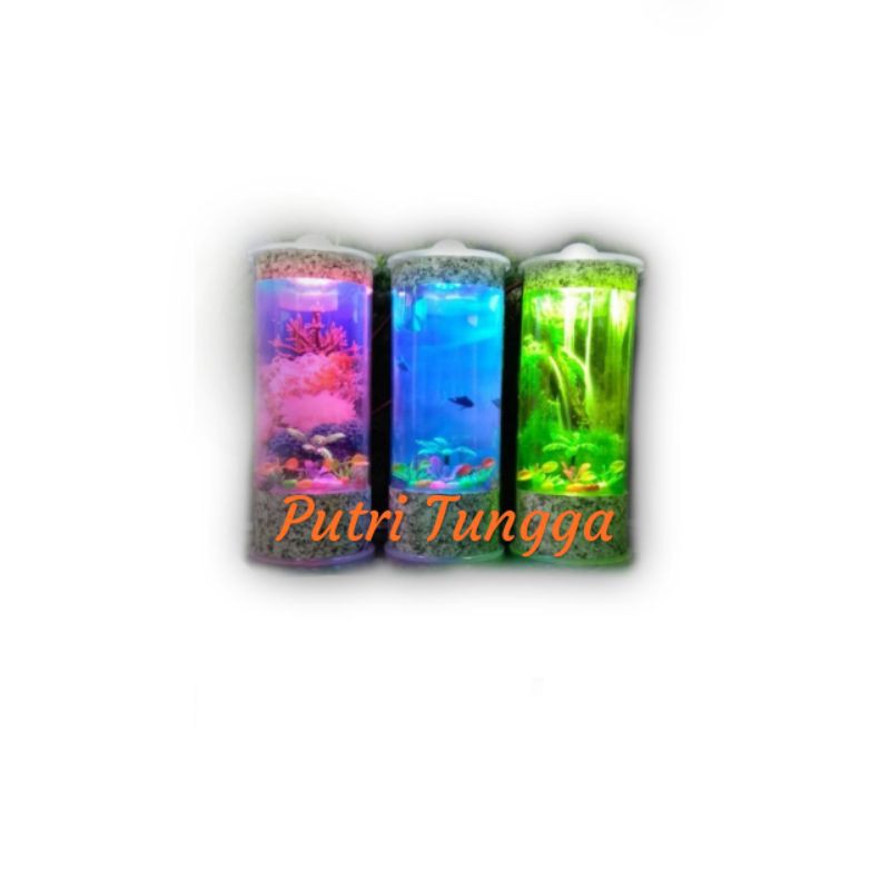 AKUARIUM IKAN CUPANG