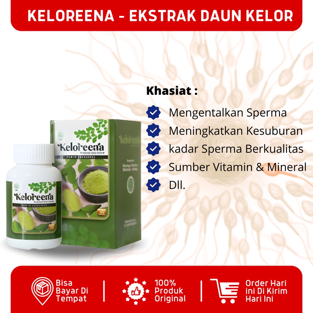 Keloreena Original Pengental Sperma, Obat Sperma Encer Buat Program Hamil, Suplemen Sperma, Penyubur