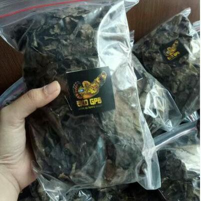 

Terbaru day daun ketapang laut olahan tanpa batang ✽☼☆