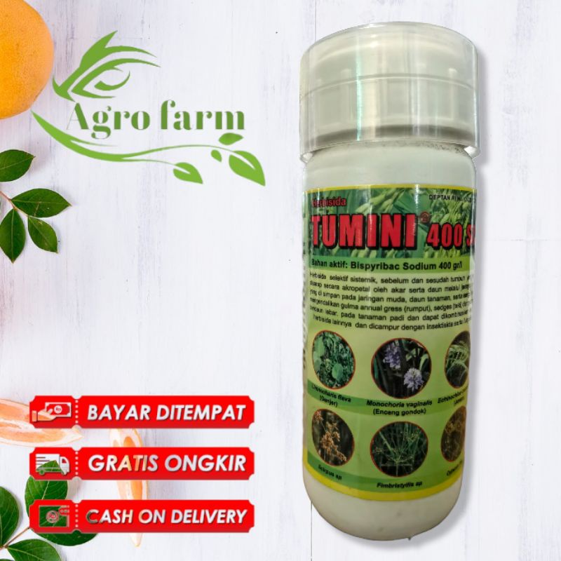 HERBISIDA TUMINI 400SL 100ML