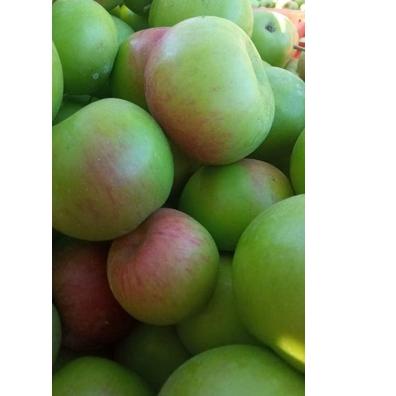 

Flash Sale✔️ [PROMO]Apel malang fress 1kg #Terbagus
