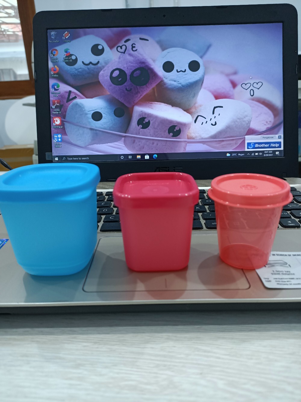 Petite Fiesta (2 Pcs)  Wadah Mini Tupwr