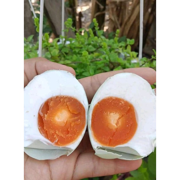 

telur asin dijamin masir dan pasti ketagihan isi 10 butir