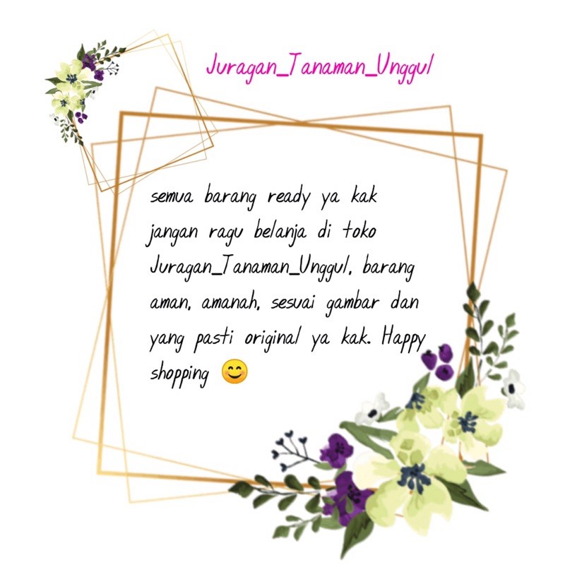 Kecambah Polong Kelapa Sawit PPKS SIMALUNGUN Benih Unggul-1