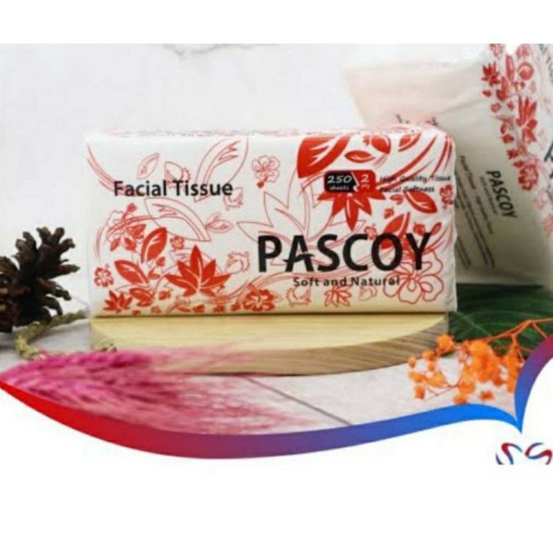 TISSU PASCOY180 SHEET 2 PLY tissu wajah