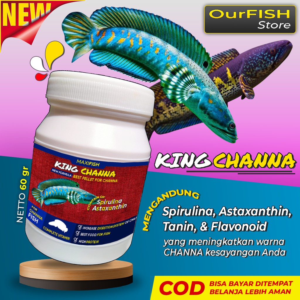 OURFISH - Pelet Pakan Ikan Channa Kingchanna Maru Auranti Blue Pulchra Andrao Asiatica Barca Red Sampit