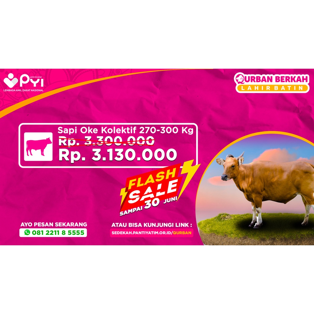 Jual Qurban Sapi Berkah Paket Oke Gotong-Royong | Shopee Indonesia