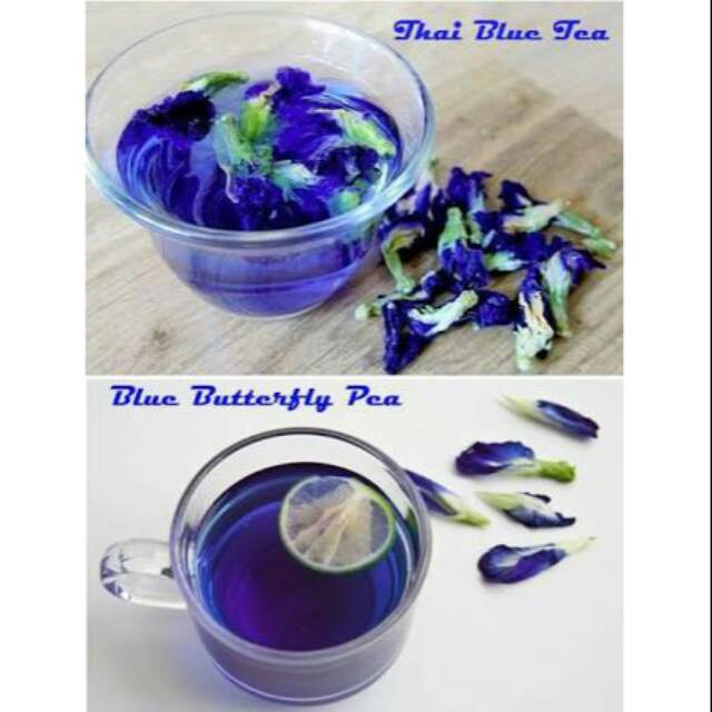 

Teh biru / thai blue tea / blue butterfly pea / thai tea biru