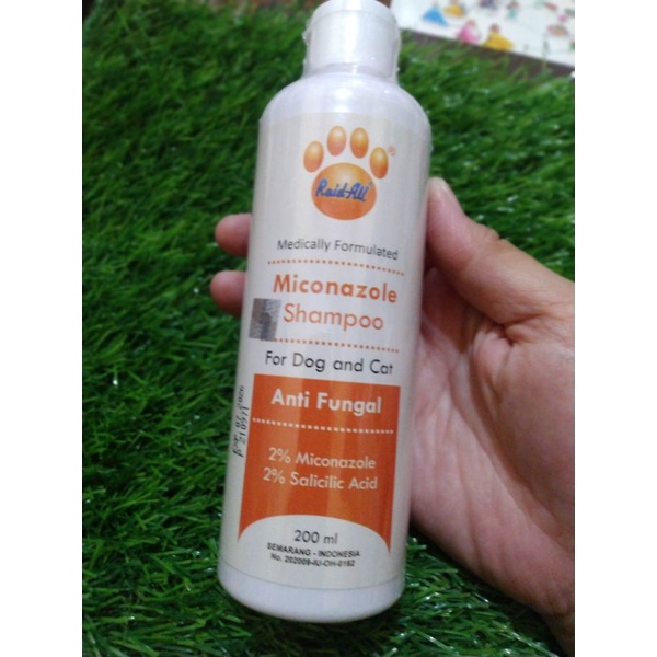 Shampoo kucing anjing raid all Medicaly