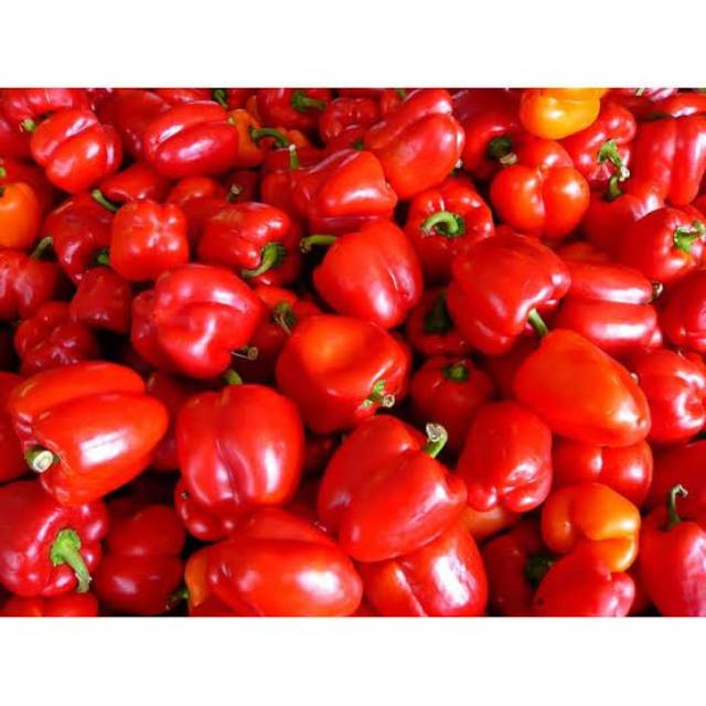 

Paprika merah Fresh 1 kg