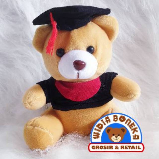 Boneka Wisuda Karakter SNI