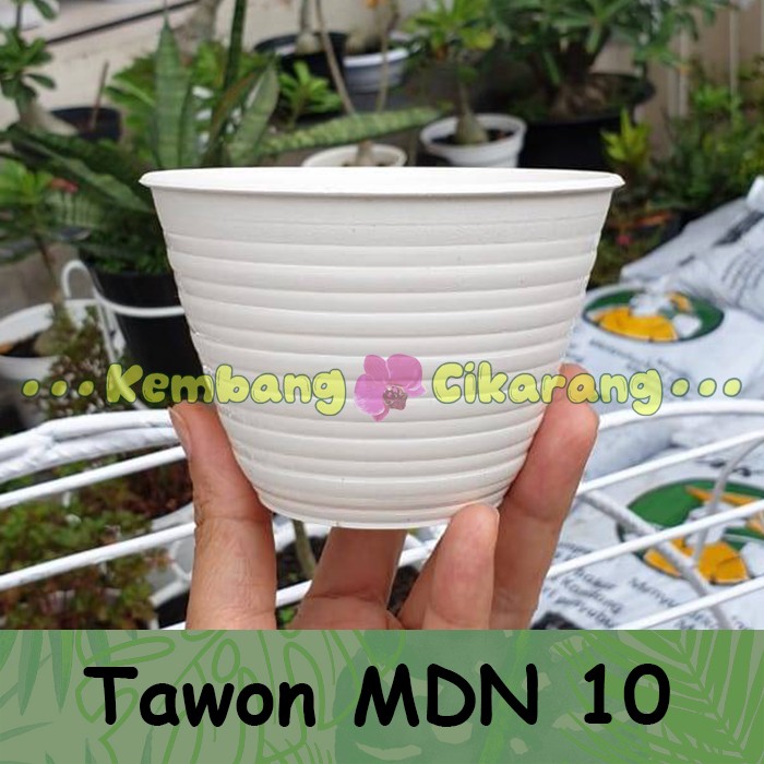 (LUSINAN) MDN TAWON UK 10 (10cm) (12pcs) Pot bunga model tawon kecil mungil murah cantik warna warni