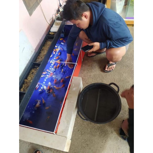 Rangka Besi & Kolam Terpal 150.50.25 Fullset