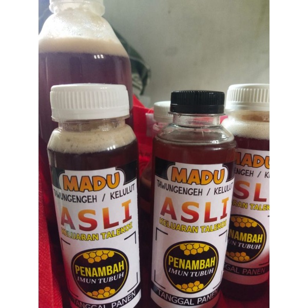 

Madu Kelulut/Kelanceng Super Kalimantan 500ml Untuk Imun Tubuh dan Kesehatan