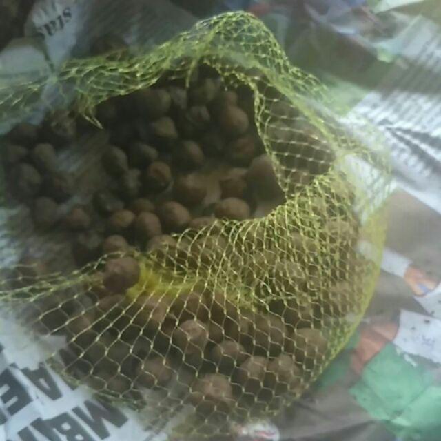 Katak Porang Mini Isi 300-400/kg