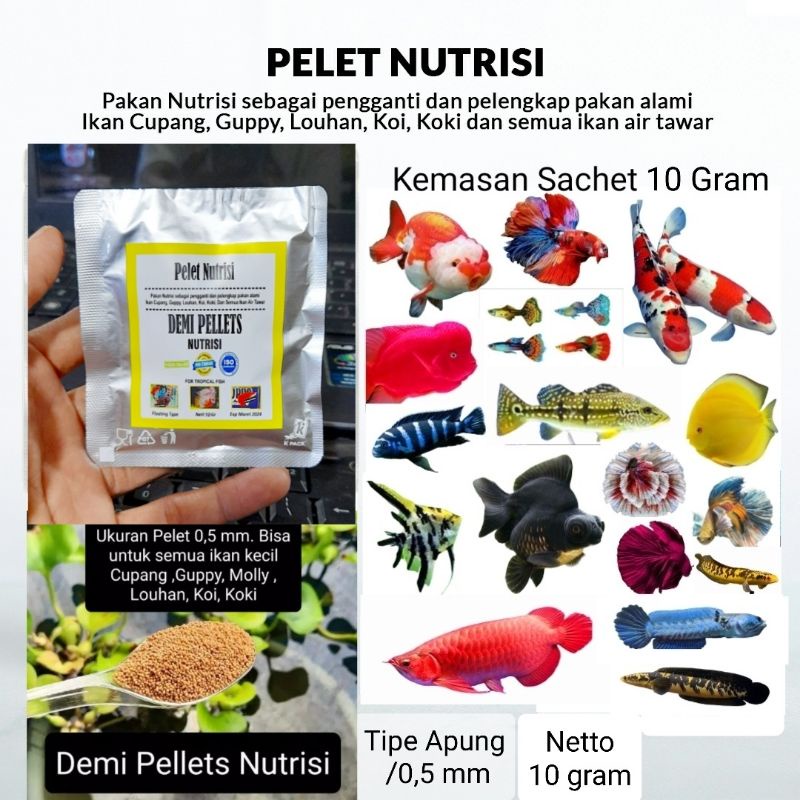 10 Gram Demi pellets Nutrisi Pakan ikan hias kecil Cupang Guppy Molly dll