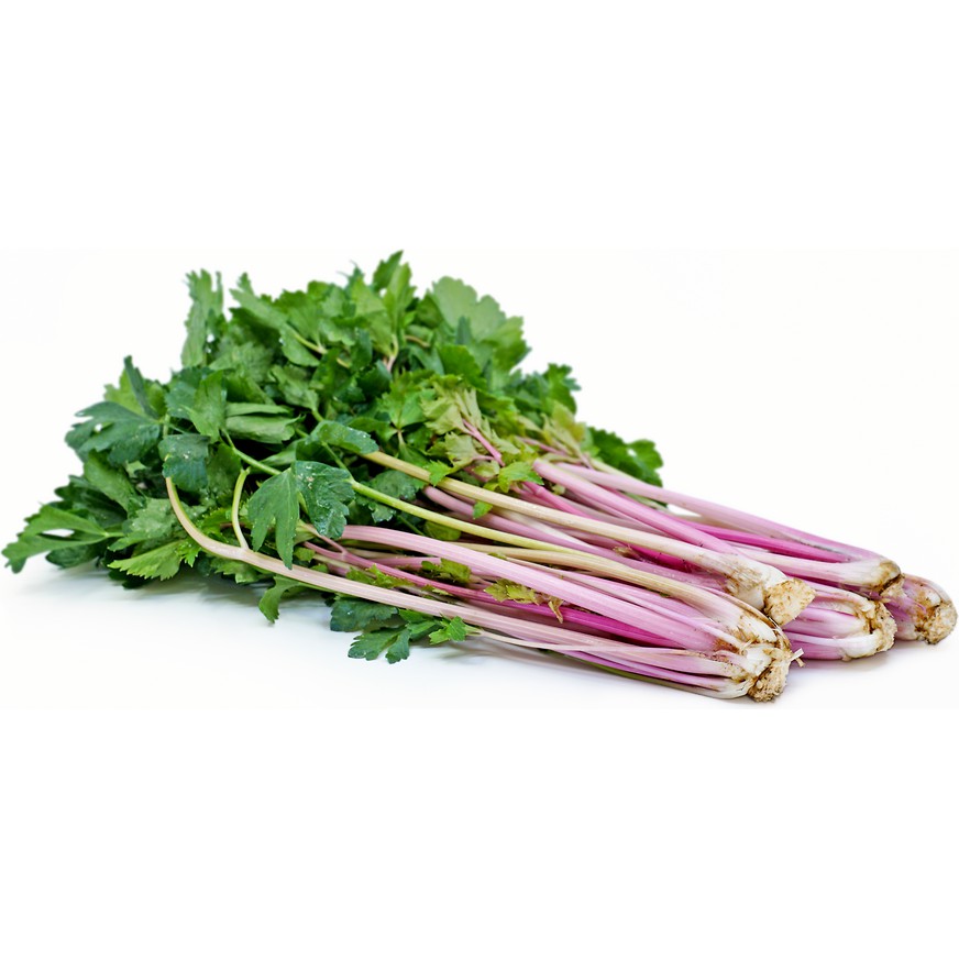 Benih Bibit Biji - Celery Chinese Pink Seledri Merah Muda Seeds - IMPORT USA