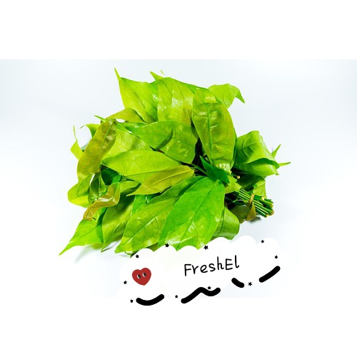 

FreshEl - DAUN MELINJO 150GR